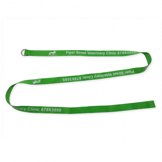 Branded Slip Dog Leash 20mm